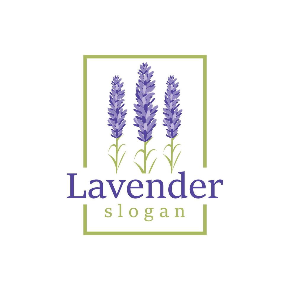 Lavender Logo Elegant Purple Flower Plant Illustration Floral Ornament Design vector