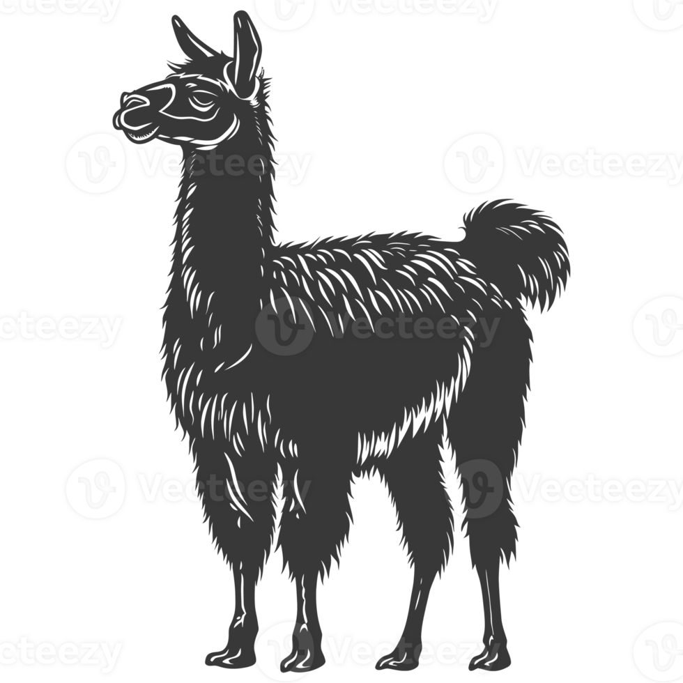 AI generated Silhouette llama animal black color only full body png