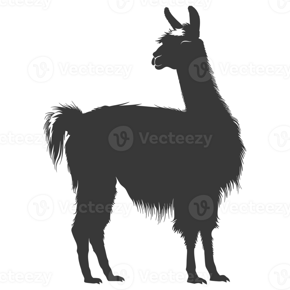 AI generated Silhouette llama animal black color only full body png