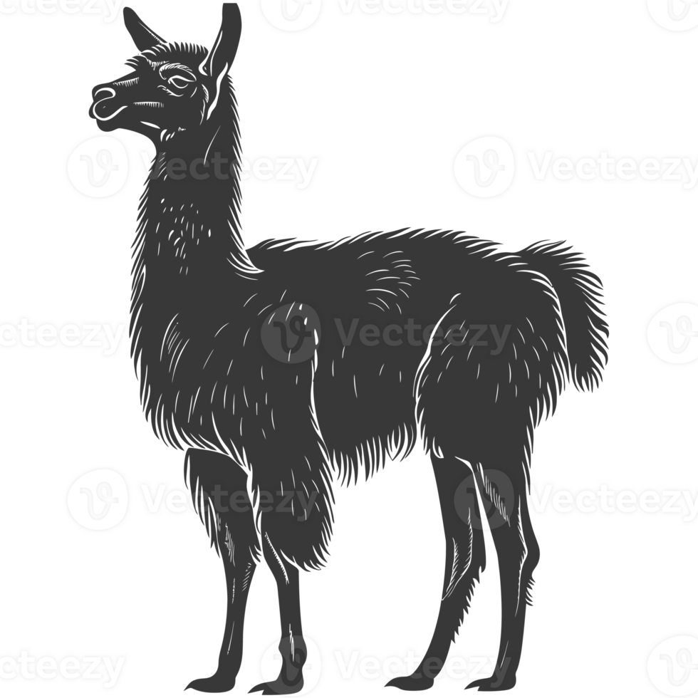 AI generated Silhouette llama animal black color only full body png