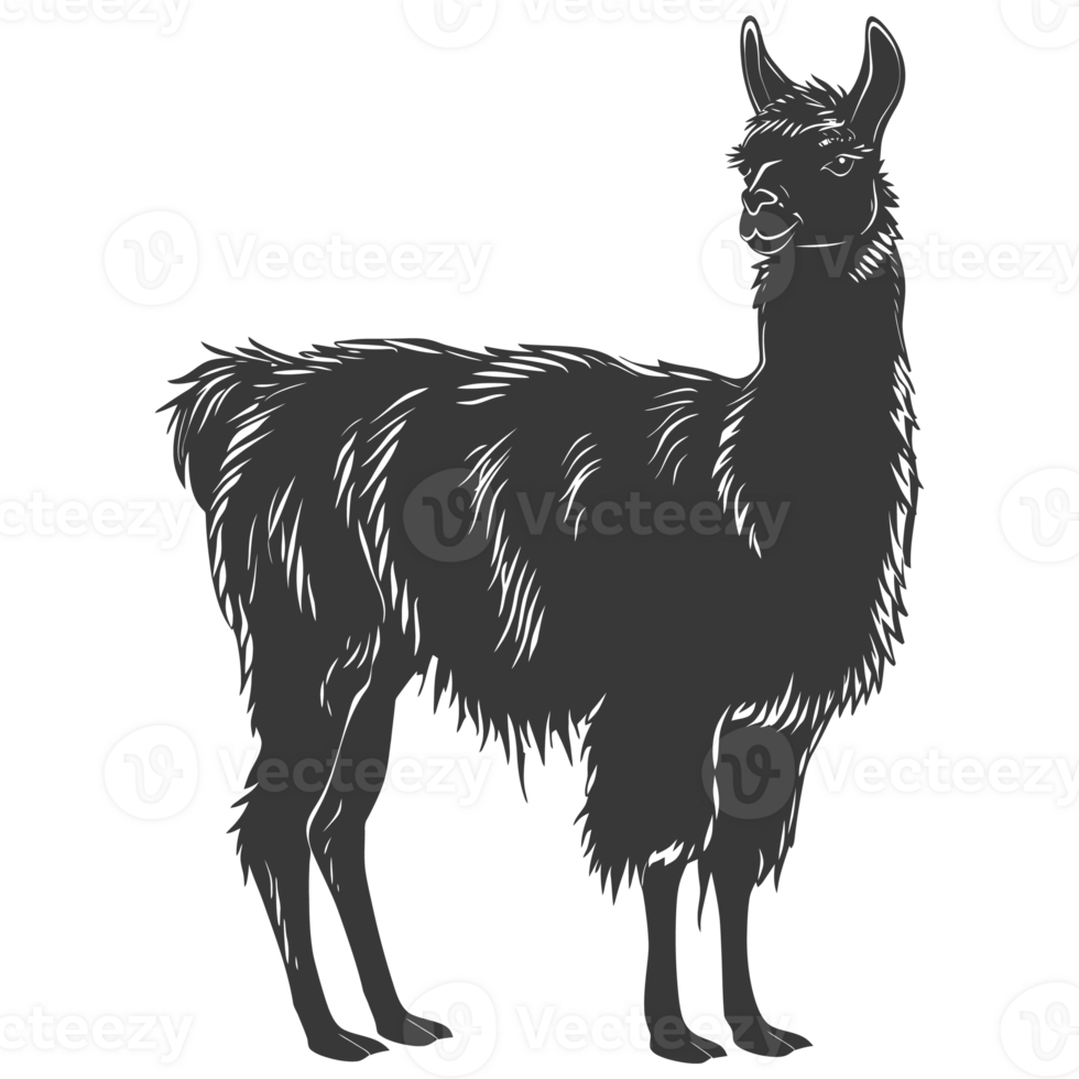 AI generated Silhouette llama animal black color only full body png