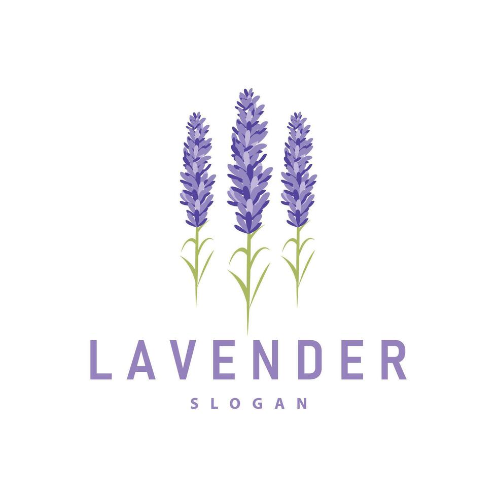 Lavender Logo Elegant Purple Flower Plant Illustration Floral Ornament Design vector