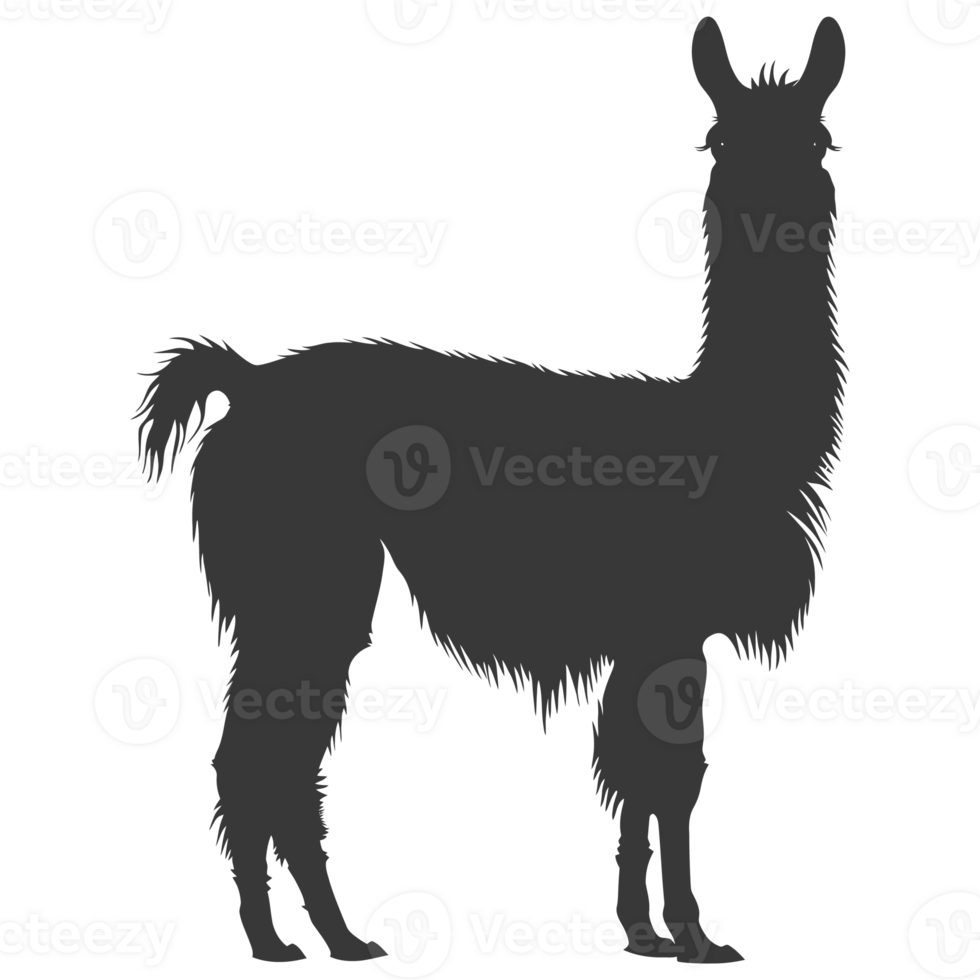 AI generated Silhouette llama animal black color only full body png