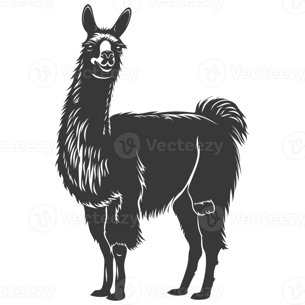 AI generated Silhouette llama animal black color only full body png