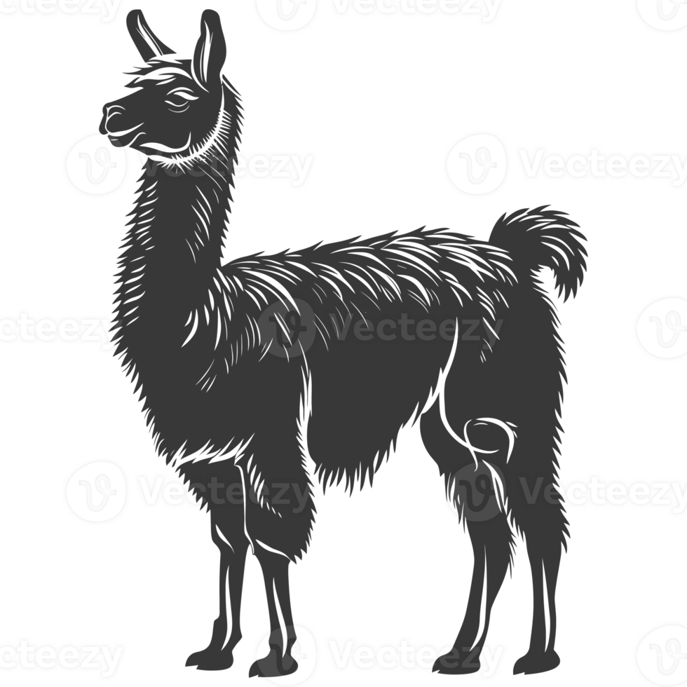 AI generated Silhouette llama animal black color only full body png