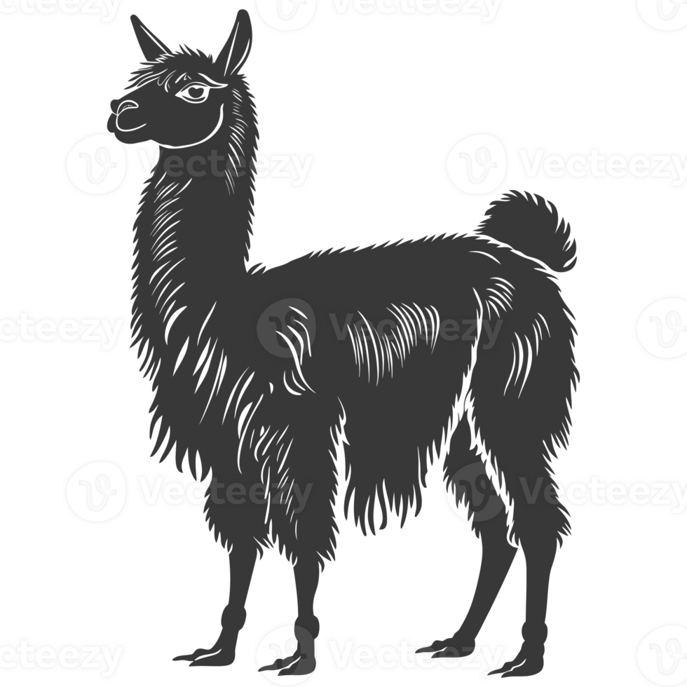 AI generated Silhouette llama animal black color only full body png