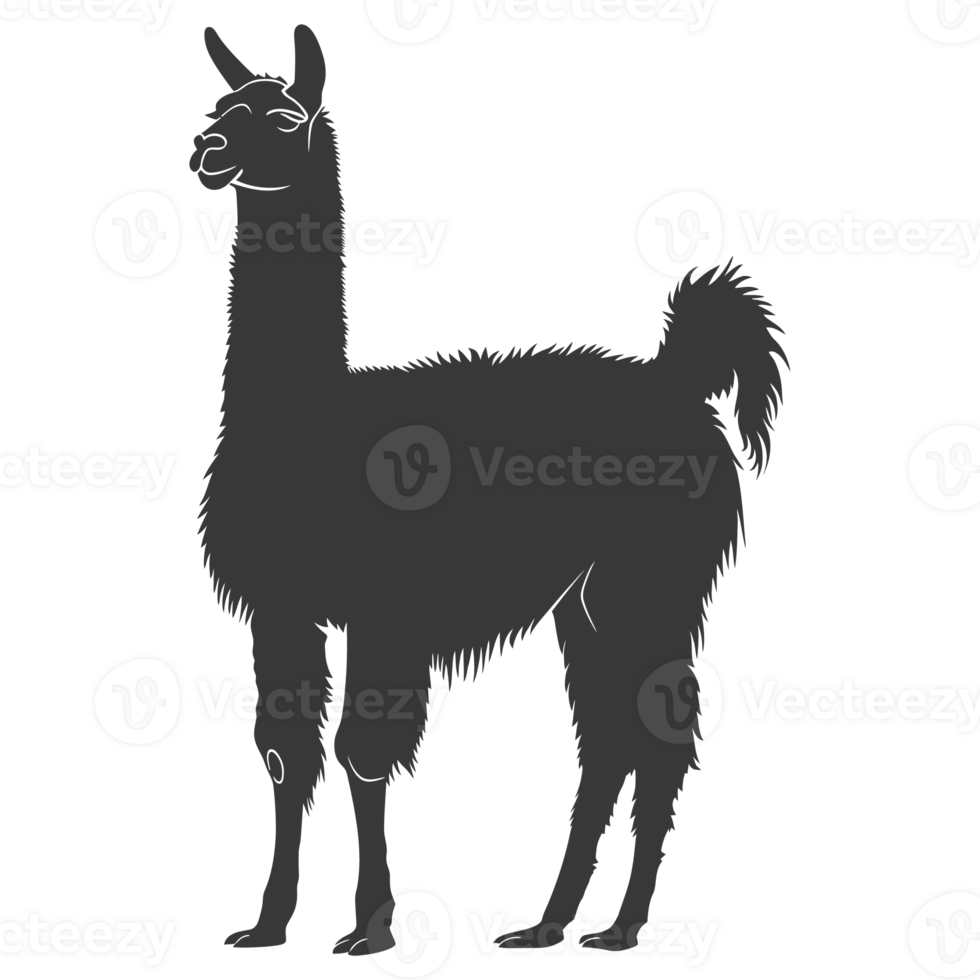 AI generated Silhouette llama animal black color only full body png