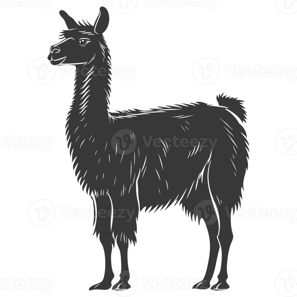 ai gerado silhueta lhama animal Preto cor só cheio corpo png