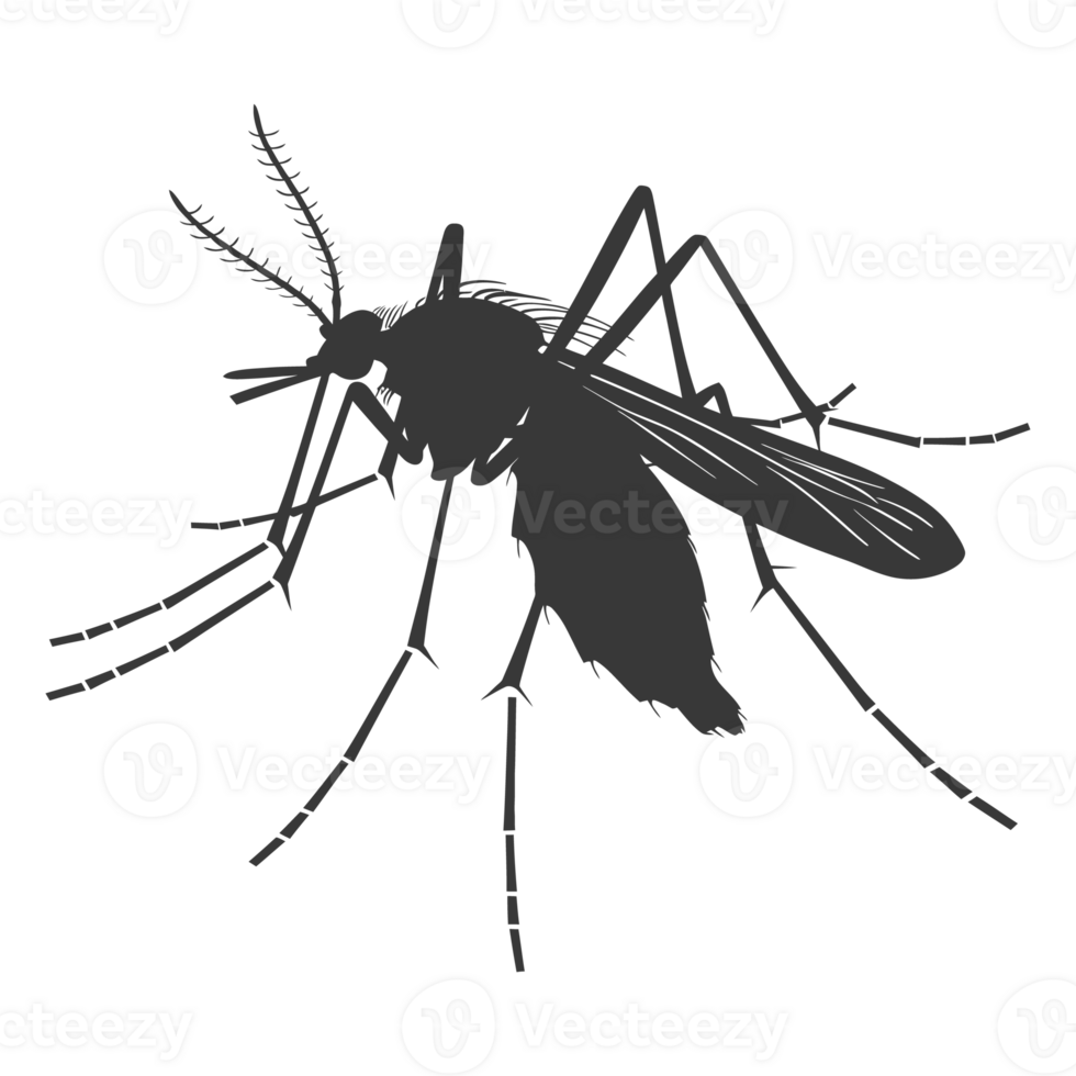 AI generated Silhouette mosquito animal black color only full body png