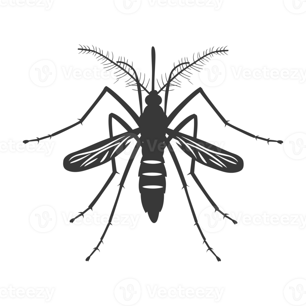 ai genererad silhuett mygga djur- svart Färg endast full kropp png
