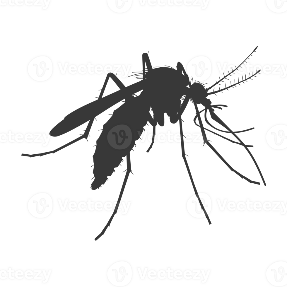 AI generated Silhouette mosquito animal black color only full body png