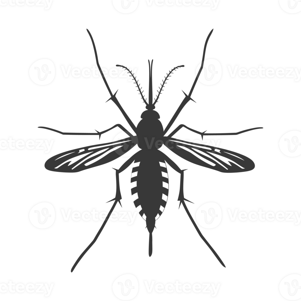 ai genererad silhuett mygga djur- svart Färg endast full kropp png
