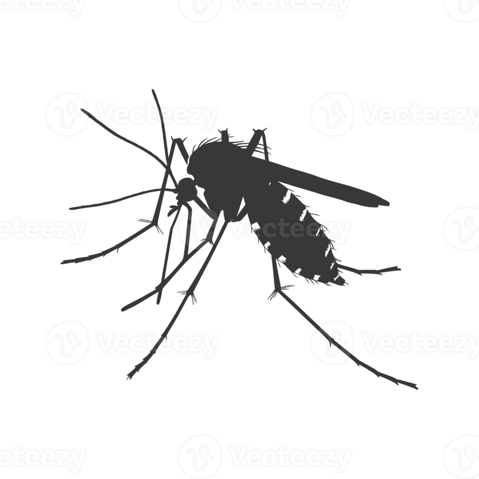 AI generated Silhouette mosquito animal black color only full body png