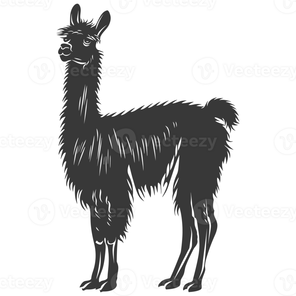 AI generated Silhouette llama animal black color only full body png