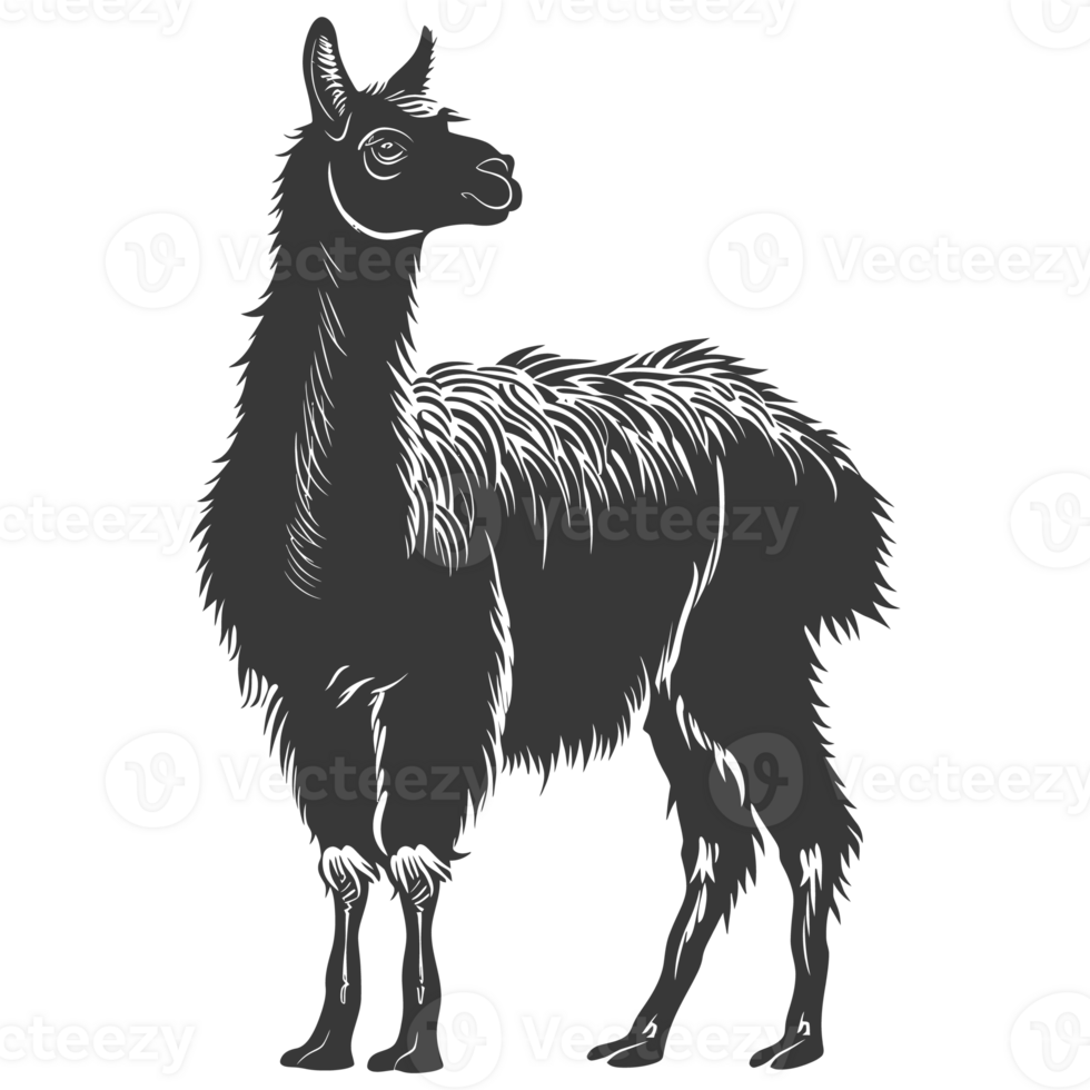 AI generated Silhouette llama animal black color only full body png