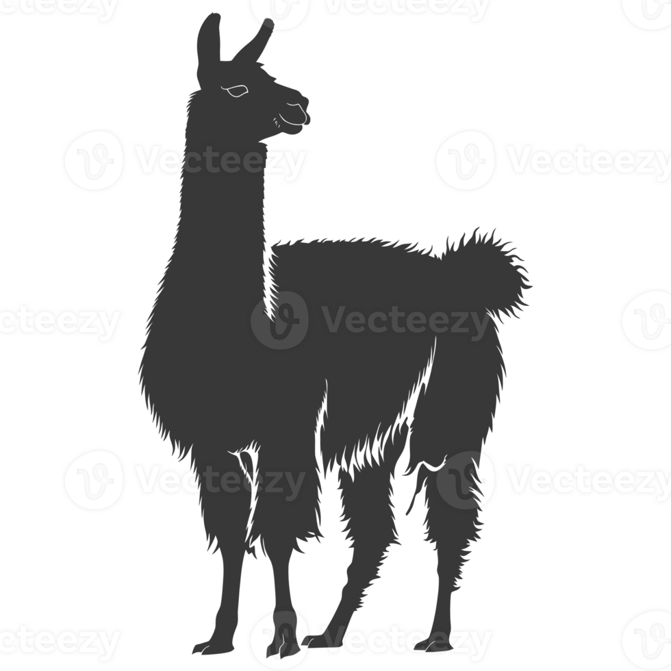 AI generated Silhouette llama animal black color only full body png
