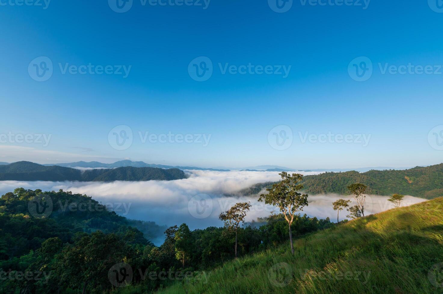 ver de bosque y montañas con niebla en Mañana a huai kub kab, chiang Mai, Tailandia foto