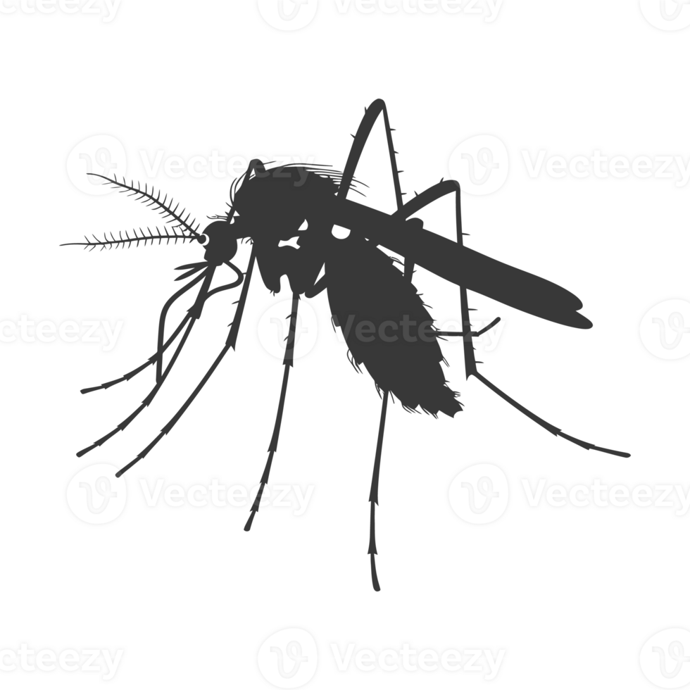 AI generated Silhouette mosquito animal black color only full body png