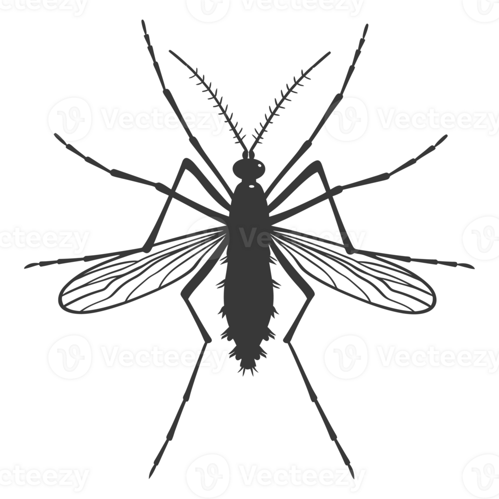 AI generated Silhouette mosquito animal black color only full body png