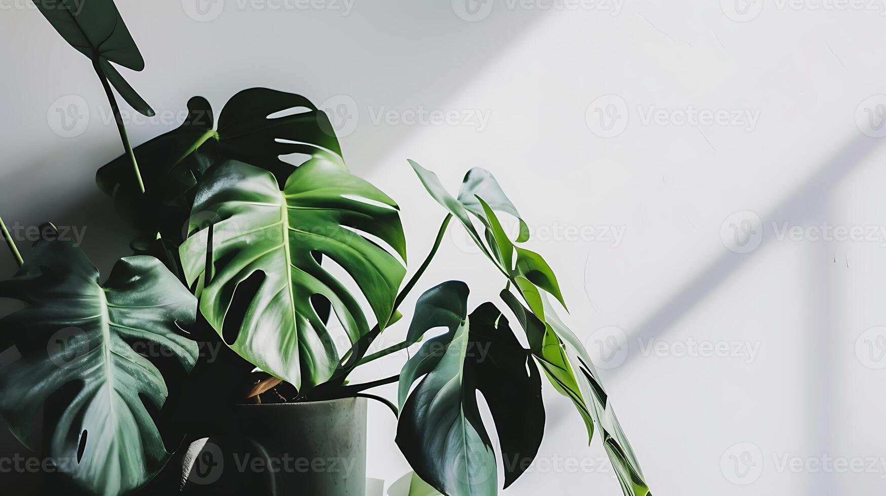 AI generated Potted Plant on Table. Generative AI. photo