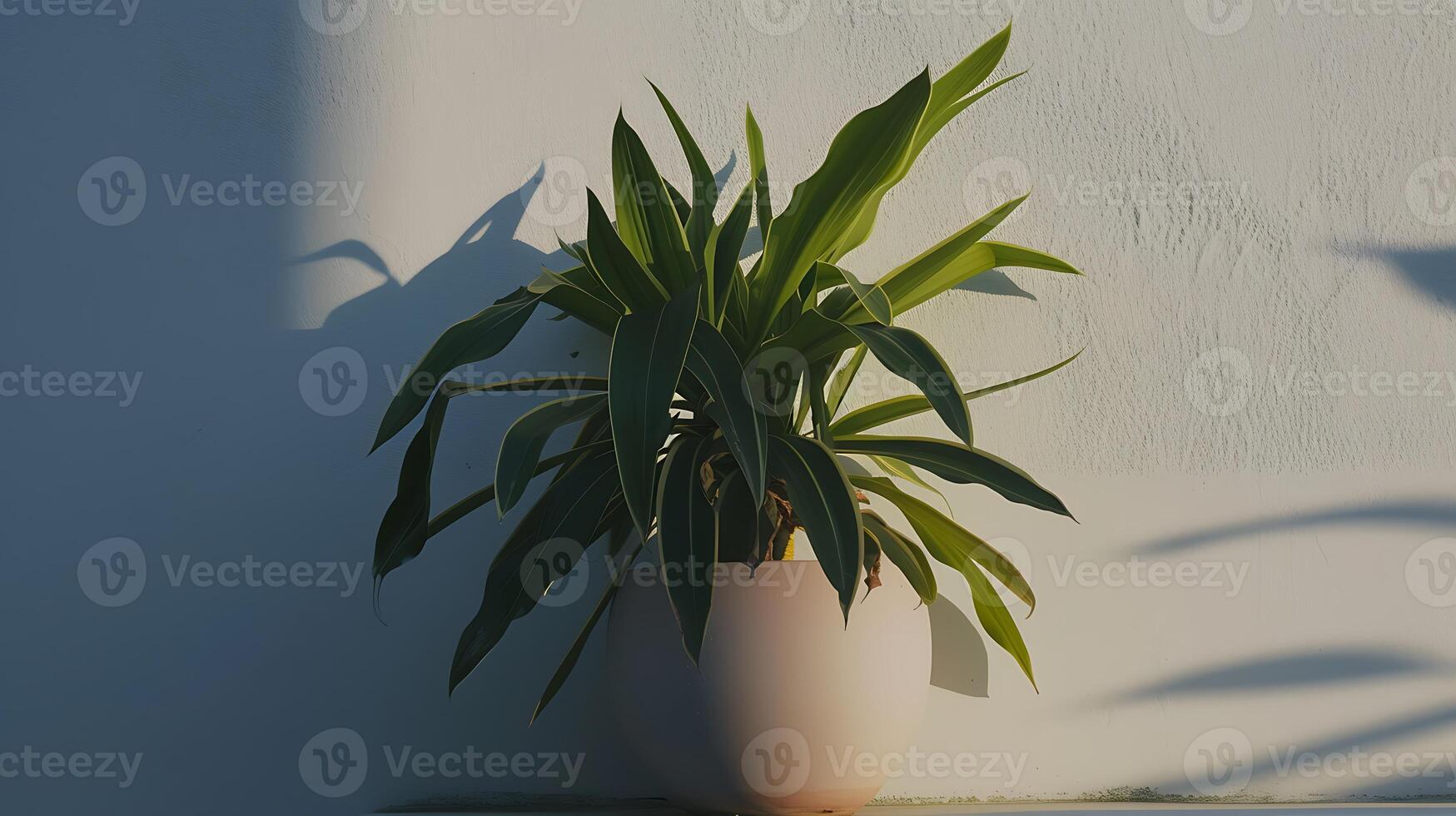 AI generated Monstera Potted Plant on Table. Generative AI. photo