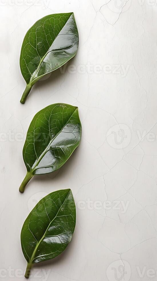 AI generated Three Green Leaves on White Surface. Generative AI. photo