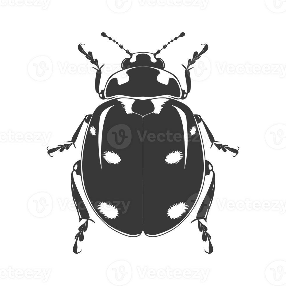 AI generated Silhouette ladybug animal fly black color only png
