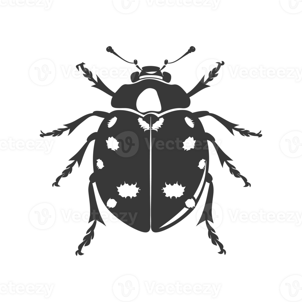 AI generated Silhouette ladybug animal fly black color only png
