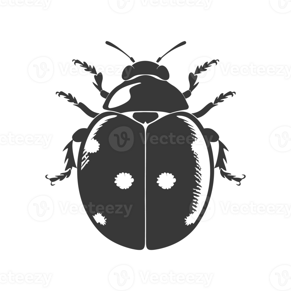 AI generated Silhouette ladybug animal black color only png