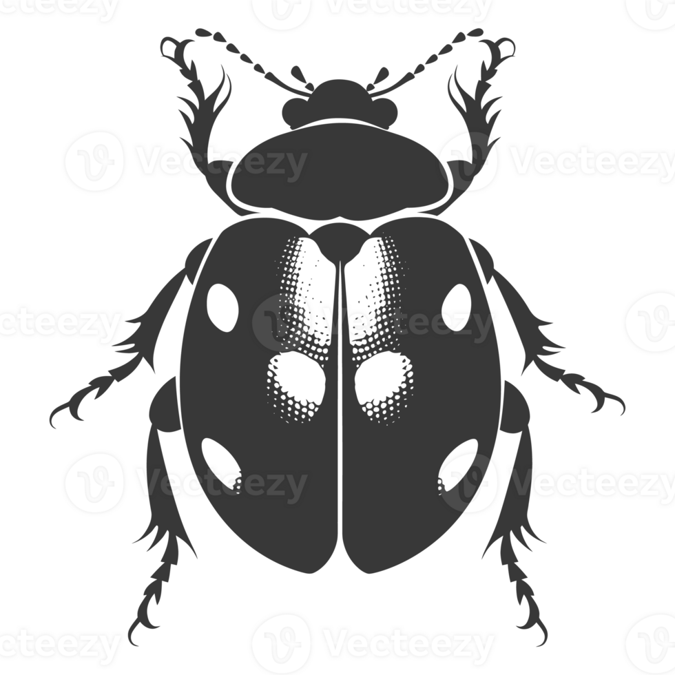 AI generated Silhouette ladybug animal fly black color only png