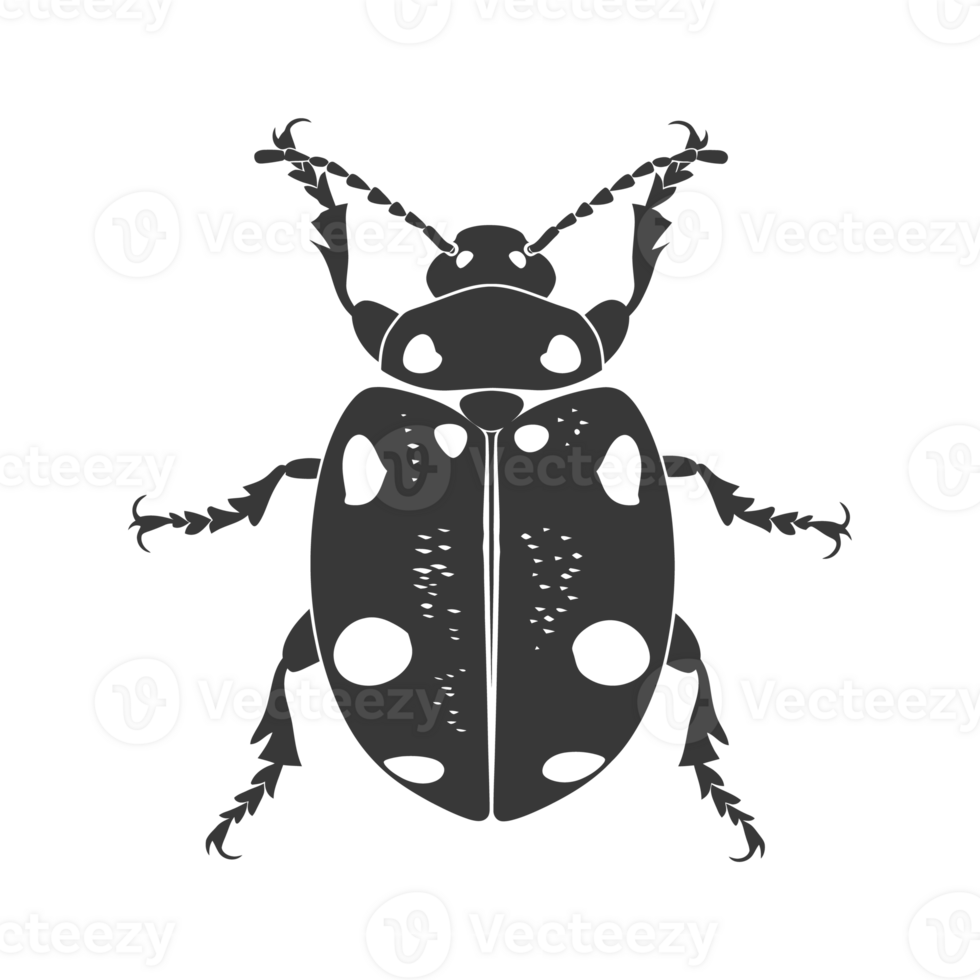 AI generated Silhouette ladybug animal black color only png
