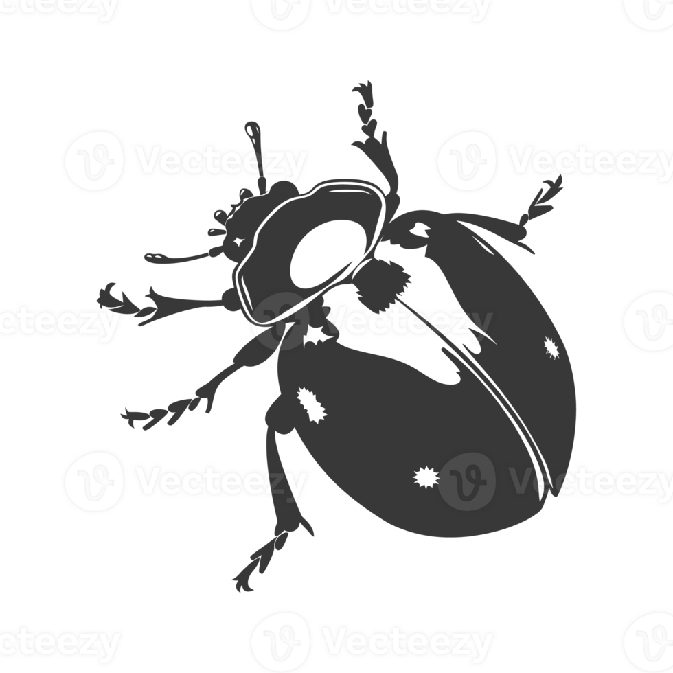 AI generated Silhouette ladybug animal fly black color only png