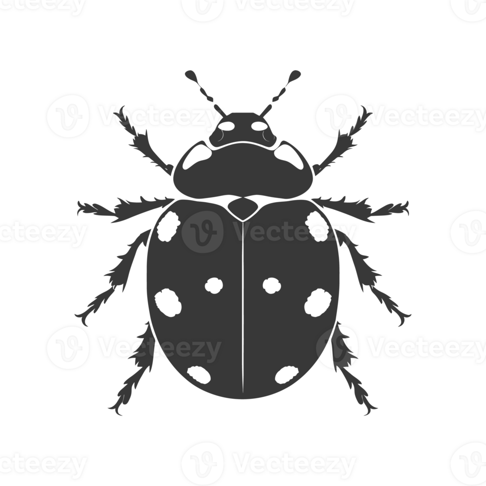 AI generated Silhouette ladybug animal black color only png