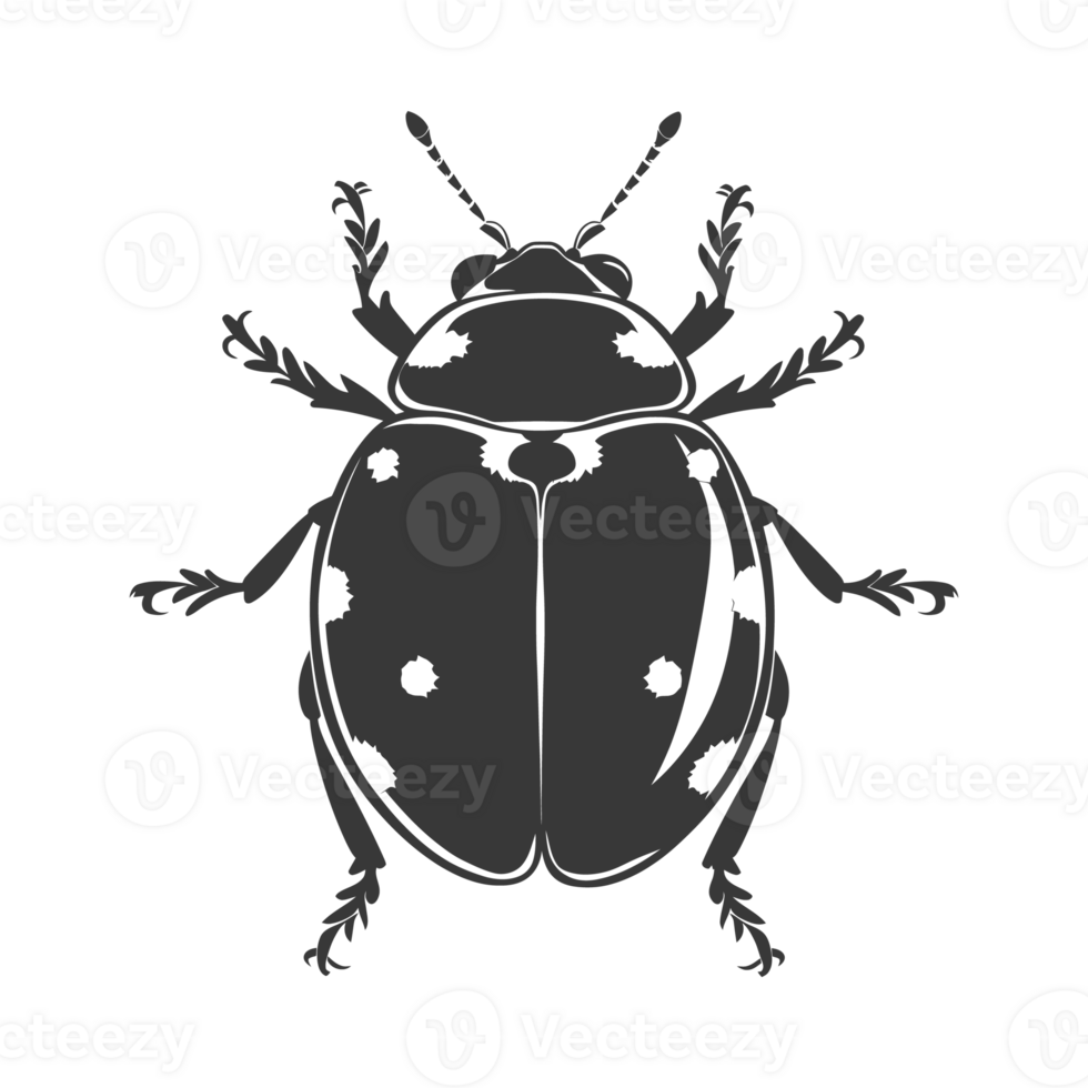 AI generated Silhouette ladybug animal black color only png