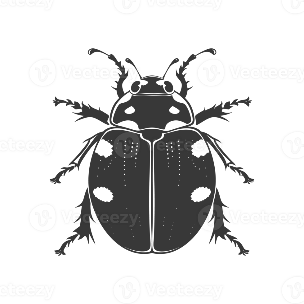 AI generated Silhouette ladybug animal black color only png