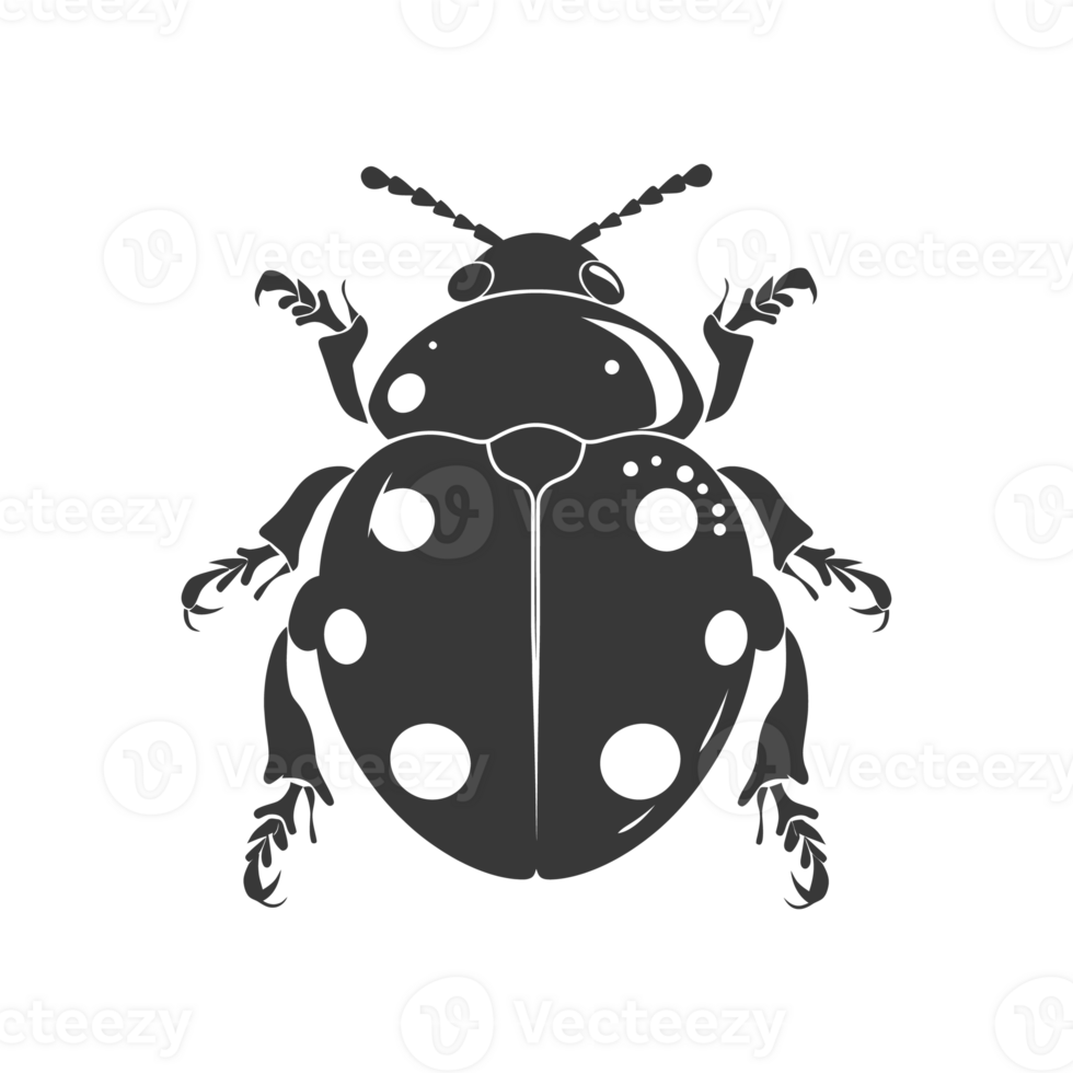 AI generated Silhouette ladybug animal black color only png