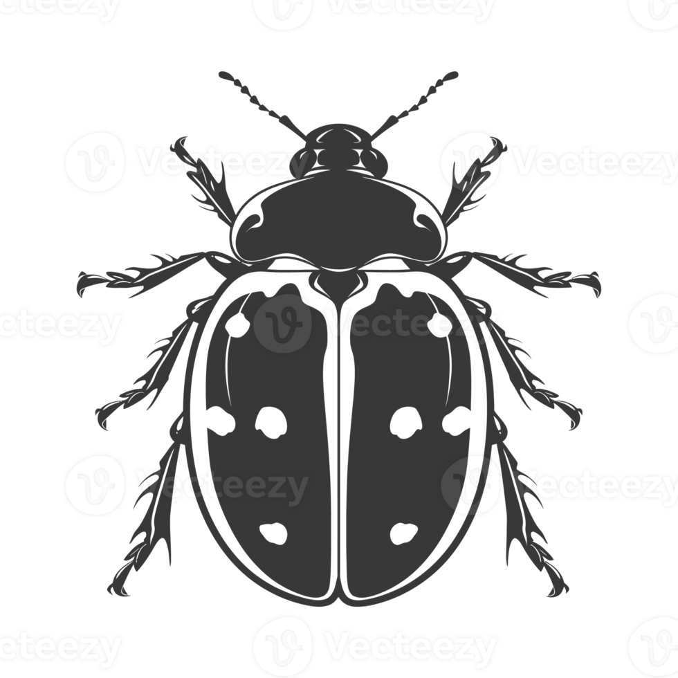 AI generated Silhouette ladybug animal black color only png