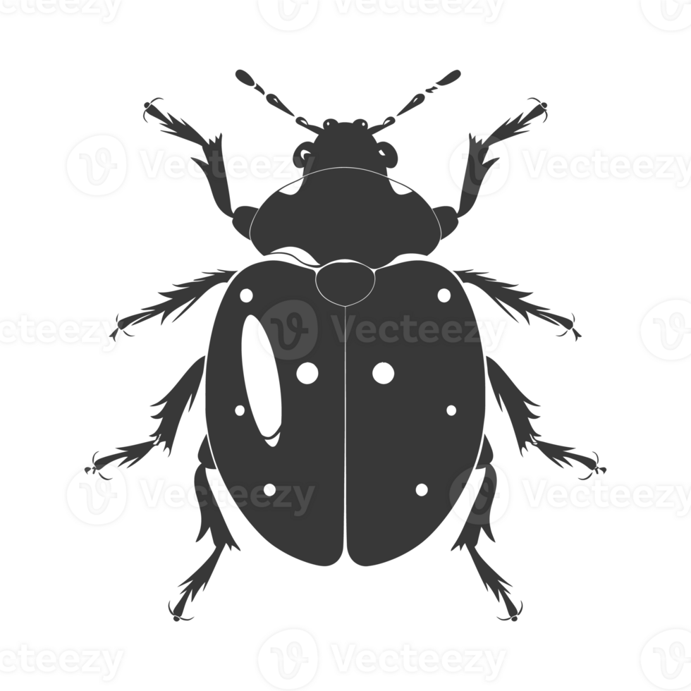 AI generated Silhouette ladybug animal fly black color only png