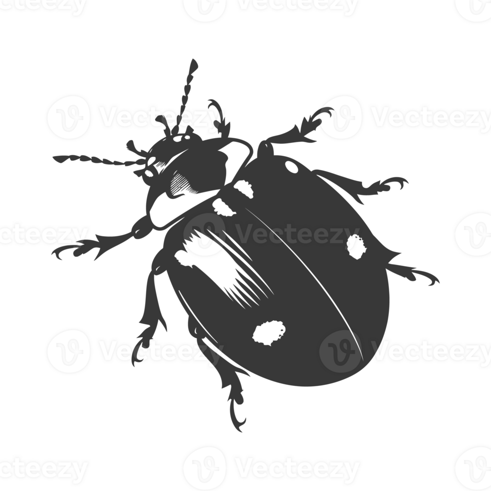 AI generated Silhouette ladybug animal fly black color only png