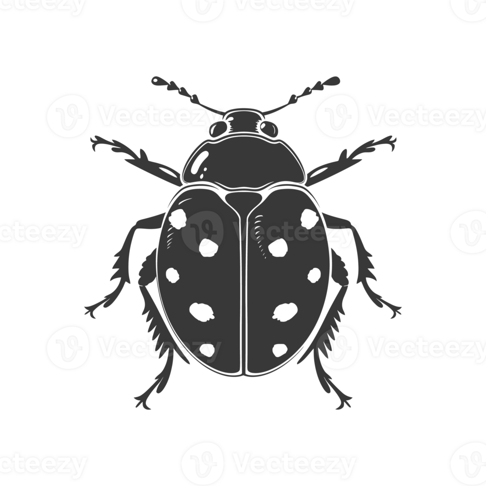 AI generated Silhouette ladybug animal fly black color only png
