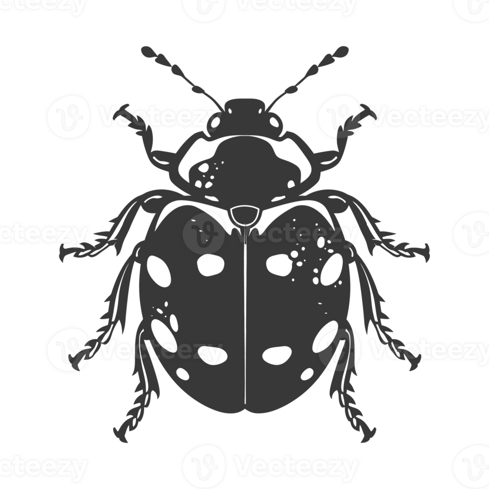 AI generated Silhouette ladybug animal fly black color only png