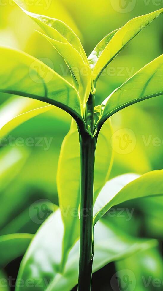 AI generated Close-Up of Green Plant With Leaves. Generative AI. photo