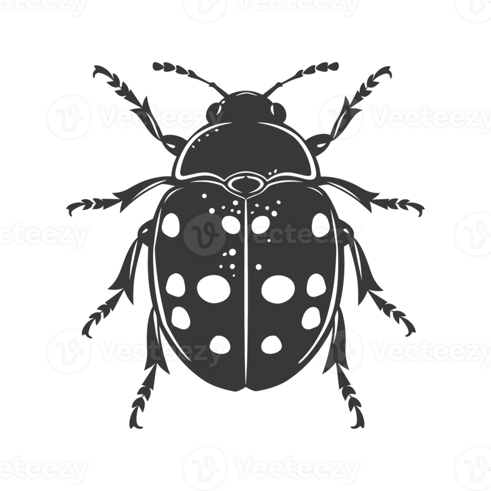 AI generated Silhouette ladybug animal fly black color only png