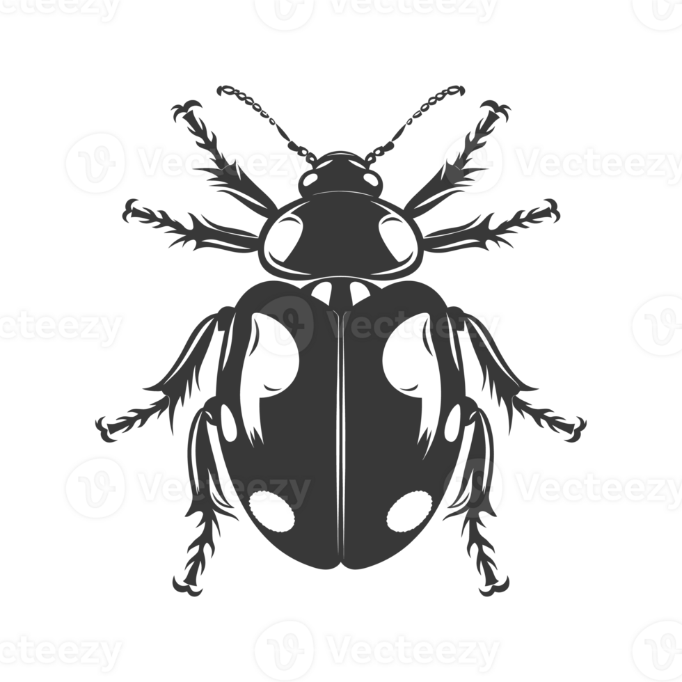 AI generated Silhouette ladybug animal black color only png