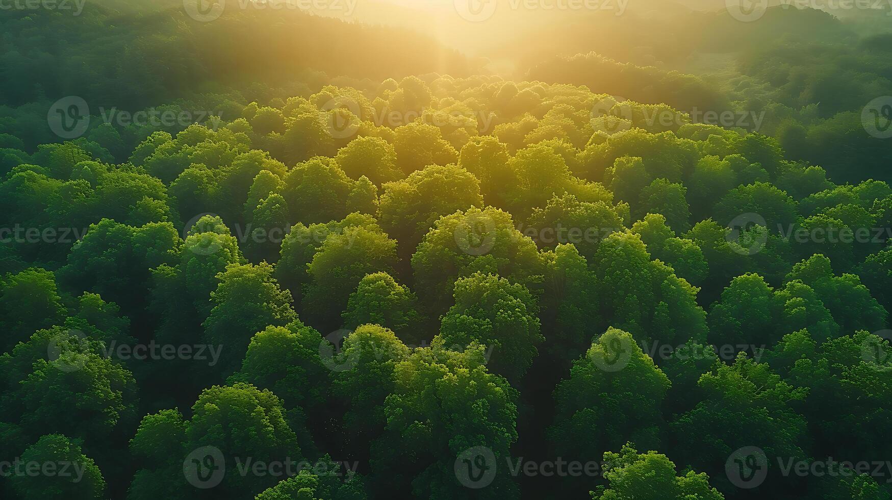 AI generated Through the fog over a forest beautiful natural scene drone view photo