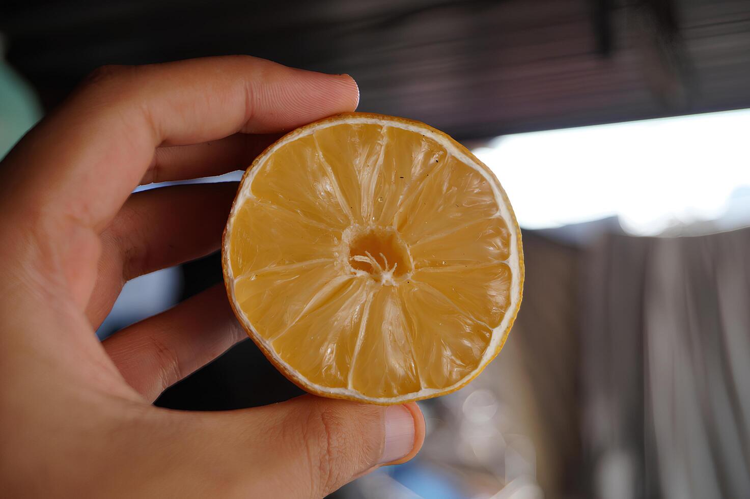 Person Holding a Sliced Lemon Against a Blurred Background photo