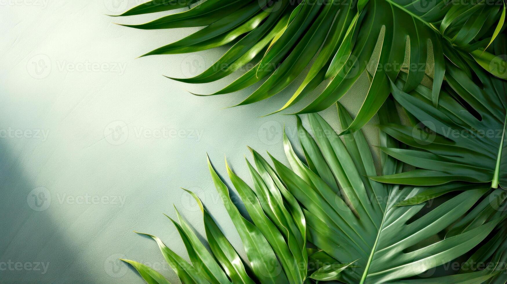 AI generated Tropical Palm Leaves Background with Playful Shadows photo