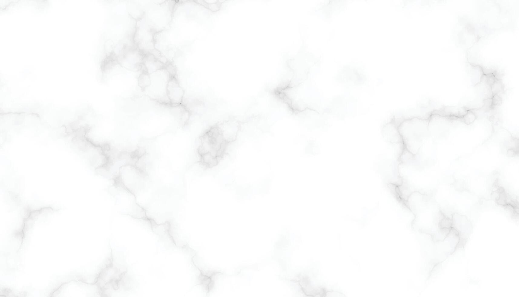 panoramic white marble stone texture. white marble texture background. high-resolution white Carrara marble stone texture vector