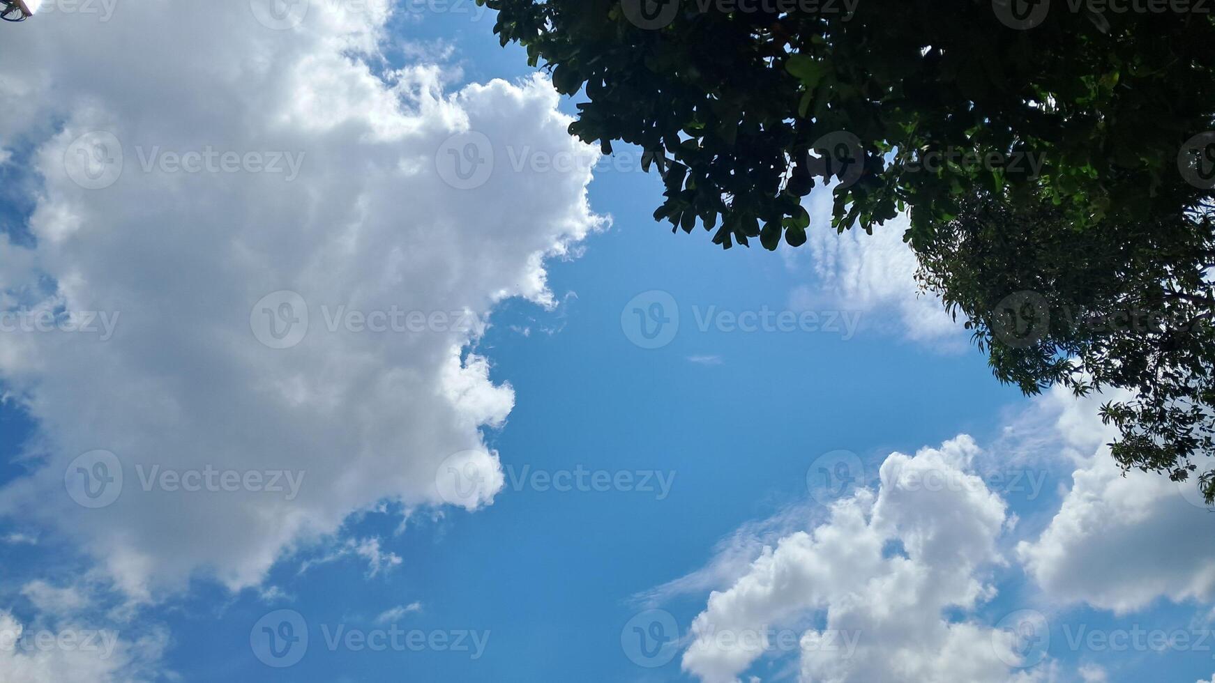 a blue sky with clouds and trees photo