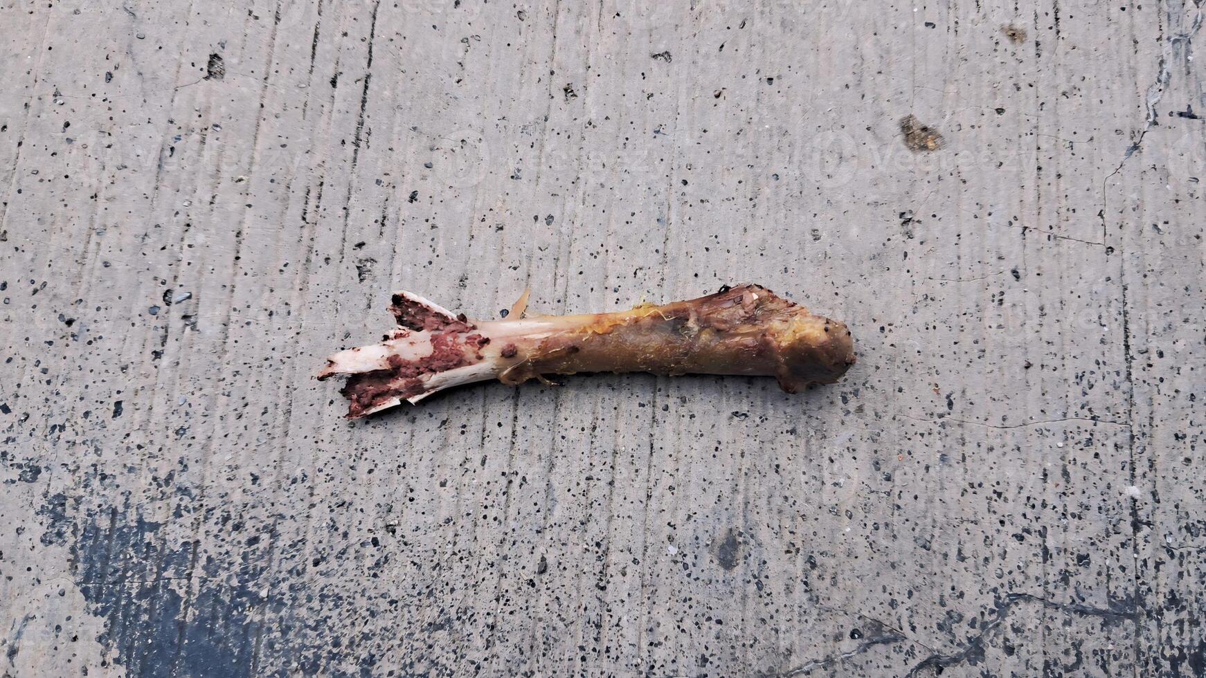 photo of chicken thigh bones